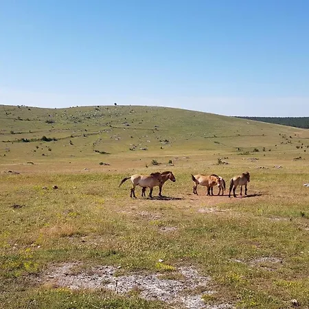 Les Gargouilles Gorges Du Tarn - Millau Boyne