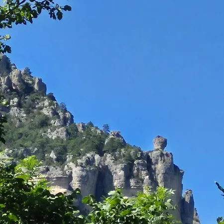 Les Gargouilles Gorges Du Tarn - Millau 住宿加早餐酒店 Boyne