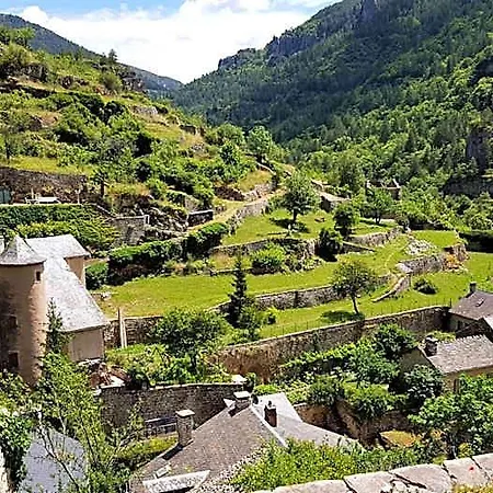 Les Gargouilles - Piscine A Debordement Avec Vue Exceptionnelle - Gorges Du Tarn - Millau 3*