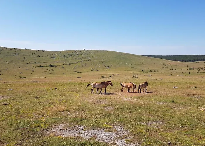 Les Gargouilles Gorges Du Tarn - Millau Boyne